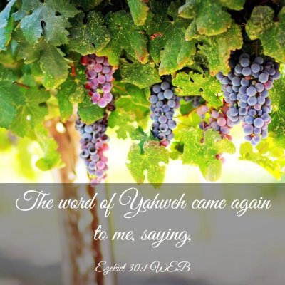 Picture 03 - Ezekiel 30:1 WEB - The word of Yahweh came again to me, - Bible Verse Picture