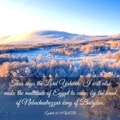 Picture 03 - Ezekiel 30:10 WEB - Thus says the Lord Yahweh: I will also make the - Bible Verse Picture