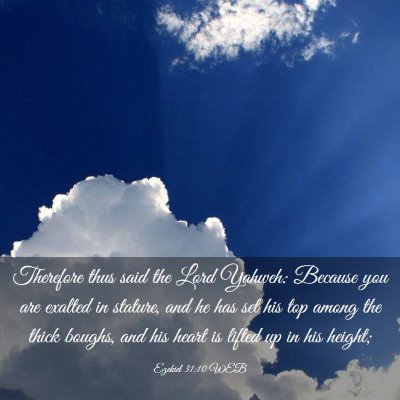 Picture 03 - Ezekiel 31:10 WEB - Therefore thus said the Lord Yahweh: Because you - Bible Verse Picture