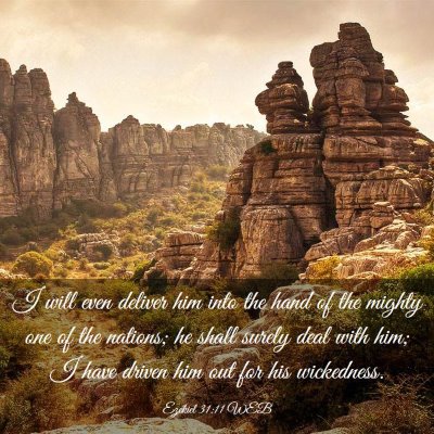 Picture 03 - Ezekiel 31:11 WEB - I will even deliver him into the hand of the - Bible Verse Picture