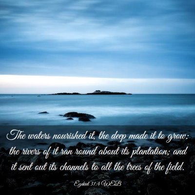 Picture 03 - Ezekiel 31:4 WEB - The waters nourished it, the deep made it to - Bible Verse Picture
