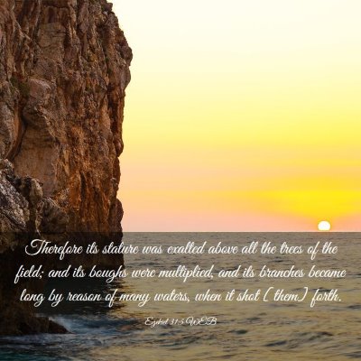 Picture 03 - Ezekiel 31:5 WEB - Therefore its stature was exalted above all the - Bible Verse Picture