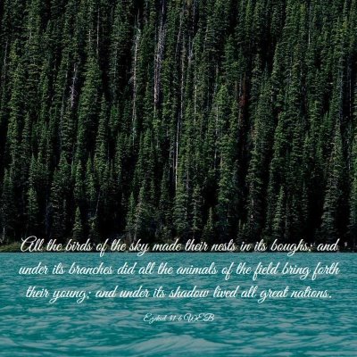 Picture 03 - Ezekiel 31:6 WEB - All the birds of the sky made their nests in its - Bible Verse Picture