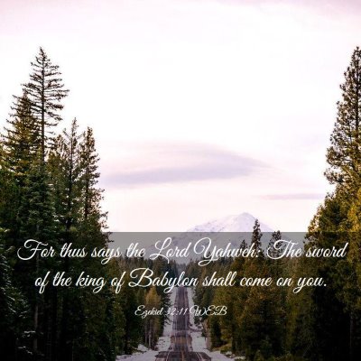 Picture 03 - Ezekiel 32:11 WEB - For thus says the Lord Yahweh: The sword of the - Bible Verse Picture