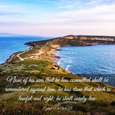Picture 03 - Ezekiel 33:16 WEB - None of his sins that he has committed shall be - Bible Verse Picture