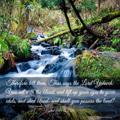 Picture 03 - Ezekiel 33:25 WEB - Therefore tell them, Thus says the Lord Yahweh: - Bible Verse Picture