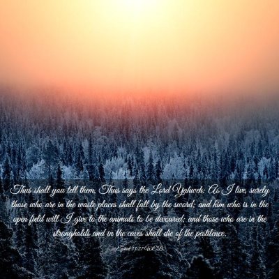 Picture 03 - Ezekiel 33:27 WEB - Thus shall you tell them, Thus says the Lord - Bible Verse Picture