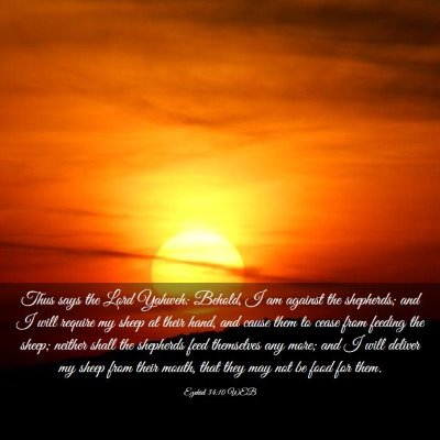 Picture 03 - Ezekiel 34:10 WEB - Thus says the Lord Yahweh: Behold, I am against - Bible Verse Picture