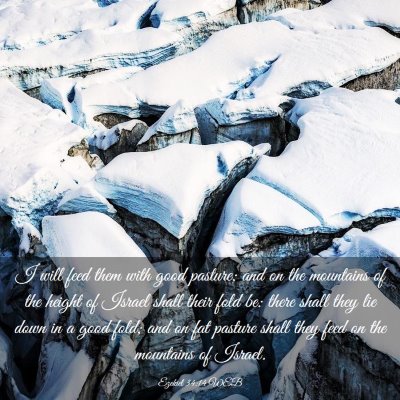 Picture 03 - Ezekiel 34:14 WEB - I will feed them with good pasture; and on the - Bible Verse Picture