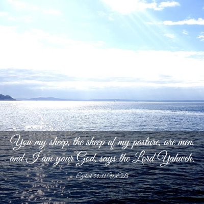 Picture 03 - Ezekiel 34:31 WEB - You my sheep, the sheep of my pasture, are men, - Bible Verse Picture