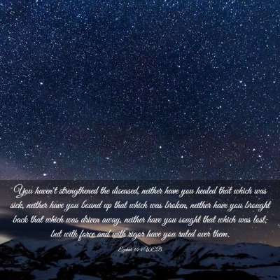 Picture 03 - Ezekiel 34:4 WEB - You haven't strengthened the diseased, neither - Bible Verse Picture