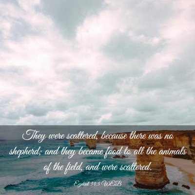 Picture 03 - Ezekiel 34:5 WEB - They were scattered, because there was no - Bible Verse Picture