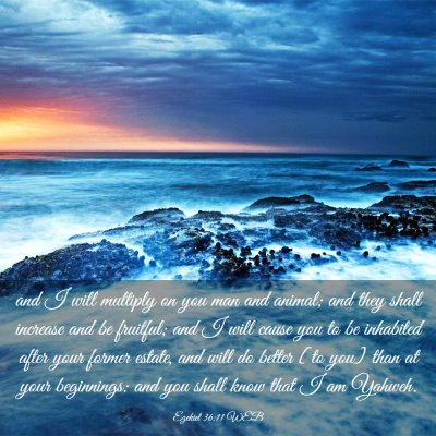 Picture 03 - Ezekiel 36:11 WEB - and I will multiply on you man and animal; and - Bible Verse Picture