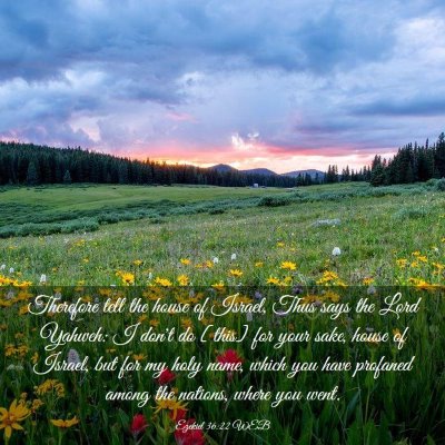 Picture 03 - Ezekiel 36:22 WEB - Therefore tell the house of Israel, Thus says the - Bible Verse Picture