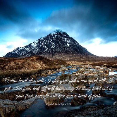 Picture 03 - Ezekiel 36:26 WEB - A new heart also will I give you, and a new - Bible Verse Picture
