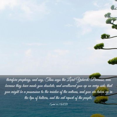 Picture 03 - Ezekiel 36:3 WEB - therefore prophesy, and say, Thus says the Lord - Bible Verse Picture