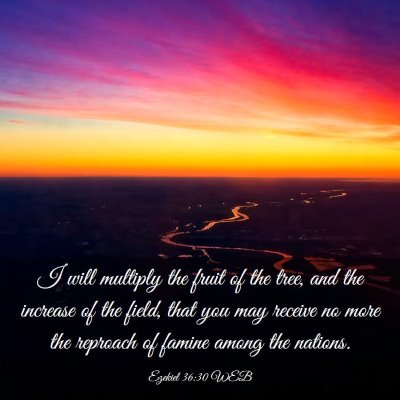 Picture 03 - Ezekiel 36:30 WEB - I will multiply the fruit of the tree, and the - Bible Verse Picture
