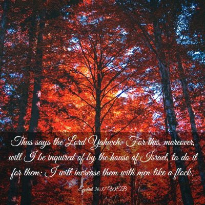 Picture 03 - Ezekiel 36:37 WEB - Thus says the Lord Yahweh: For this, moreover, - Bible Verse Picture