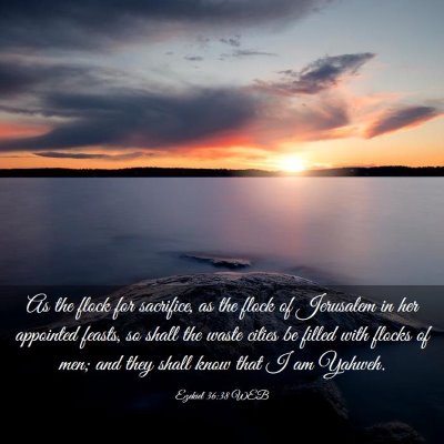 Picture 03 - Ezekiel 36:38 WEB - As the flock for sacrifice, as the flock of - Bible Verse Picture