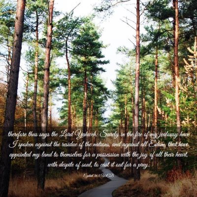 Picture 03 - Ezekiel 36:5 WEB - therefore thus says the Lord Yahweh: Surely in - Bible Verse Picture