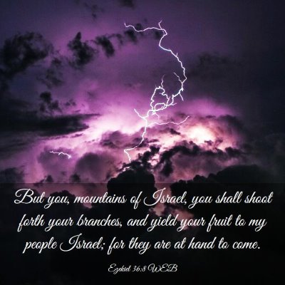 Picture 03 - Ezekiel 36:8 WEB - But you, mountains of Israel, you shall shoot - Bible Verse Picture