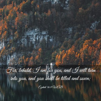 Picture 03 - Ezekiel 36:9 WEB - For, behold, I am for you, and I will turn into - Bible Verse Picture