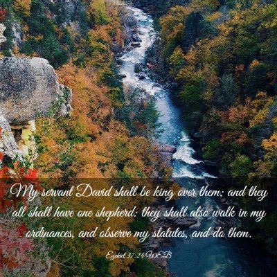 Picture 03 - Ezekiel 37:24 WEB - My servant David shall be king over them; and - Bible Verse Picture