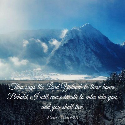 Picture 03 - Ezekiel 37:5 WEB - Thus says the Lord Yahweh to these bones: Behold, - Bible Verse Picture