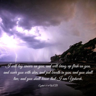 Picture 03 - Ezekiel 37:6 WEB - I will lay sinews on you, and will bring up flesh - Bible Verse Picture