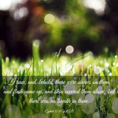 Picture 03 - Ezekiel 37:8 WEB - I saw, and, behold, there were sinews on them, - Bible Verse Picture