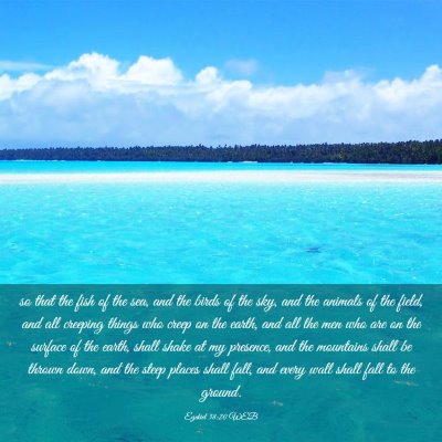 Picture 03 - Ezekiel 38:20 WEB - so that the fish of the sea, and the birds of the - Bible Verse Picture