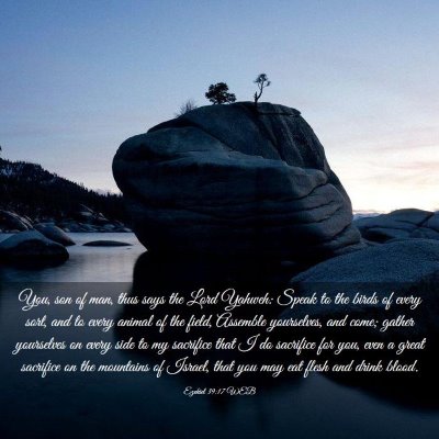Picture 03 - Ezekiel 39:17 WEB - You, son of man, thus says the Lord Yahweh: Speak - Bible Verse Picture