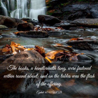 Picture 03 - Ezekiel 40:43 WEB - The hooks, a handbreadth long, were fastened - Bible Verse Picture