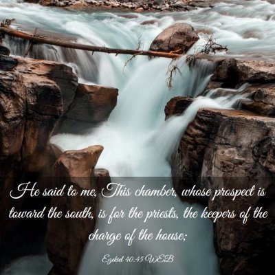 Picture 03 - Ezekiel 40:45 WEB - He said to me, This chamber, whose prospect is - Bible Verse Picture