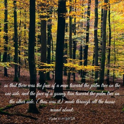 Picture 03 - Ezekiel 41:19 WEB - so that there was the face of a man toward the - Bible Verse Picture