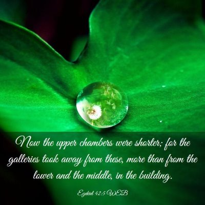 Picture 03 - Ezekiel 42:5 WEB - Now the upper chambers were shorter; for the - Bible Verse Picture