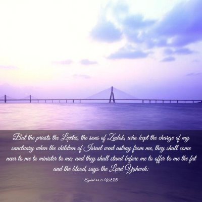 Picture 03 - Ezekiel 44:15 WEB - But the priests the Levites, the sons of Zadok, - Bible Verse Picture