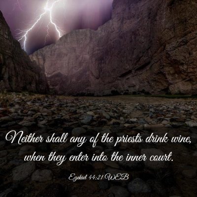 Picture 03 - Ezekiel 44:21 WEB - Neither shall any of the priests drink wine, when - Bible Verse Picture