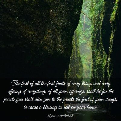 Picture 03 - Ezekiel 44:30 WEB - The first of all the first fruits of every thing, - Bible Verse Picture