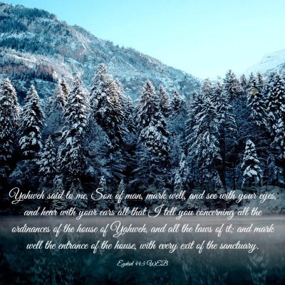 Picture 03 - Ezekiel 44:5 WEB - Yahweh said to me, Son of man, mark well, and see - Bible Verse Picture