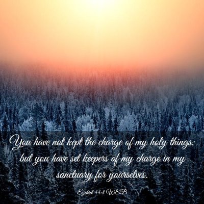 Picture 03 - Ezekiel 44:8 WEB - You have not kept the charge of my holy things; - Bible Verse Picture