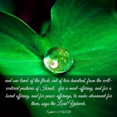 Picture 03 - Ezekiel 45:15 WEB - and one lamb of the flock, out of two hundred, - Bible Verse Picture