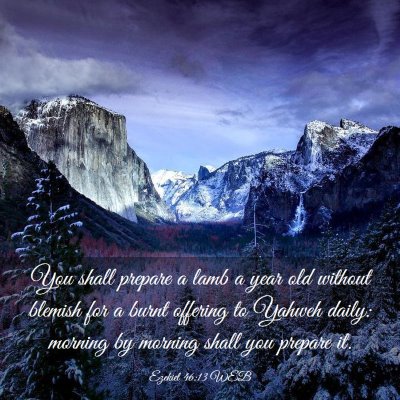 Picture 03 - Ezekiel 46:13 WEB - You shall prepare a lamb a year old without - Bible Verse Picture