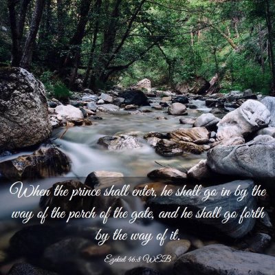 Picture 03 - Ezekiel 46:8 WEB - When the prince shall enter, he shall go in by - Bible Verse Picture