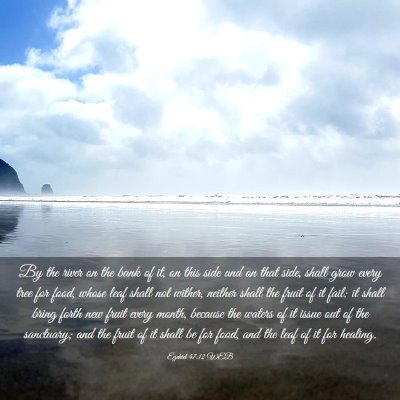 Picture 03 - Ezekiel 47:12 WEB - By the river on the bank of it, on this side and - Bible Verse Picture