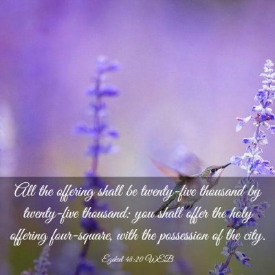 Picture 03 - Ezekiel 48:20 WEB - All the offering shall be twenty-five thousand by - Bible Verse Picture