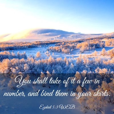 Picture 03 - Ezekiel 5:3 WEB - You shall take of it a few in number, and bind - Bible Verse Picture