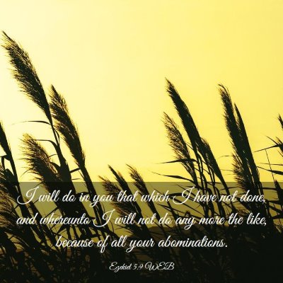 Picture 03 - Ezekiel 5:9 WEB - I will do in you that which I have not done, and - Bible Verse Picture
