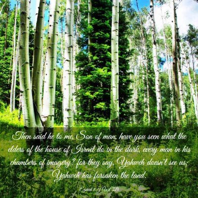 Picture 03 - Ezekiel 8:12 WEB - Then said he to me, Son of man, have you seen - Bible Verse Picture
