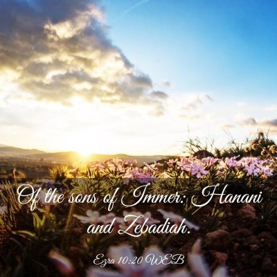 Picture 03 - Ezra 10:20 WEB - Of the sons of Immer: Hanani and - Bible Verse Picture